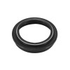 PARE-POUSSIERE; -AP8123824-