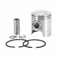 PISTON SCOOT ADAPTABLE PEUGEOT 50 TKR, TREKKER, SPEEDFIGHT AIR, VIVACITY, BUXY, SQUAB, ZENITH, ELYSEO POUR CYLINDRE ALU NIKASIL REF 822 -P2R-