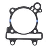 PACKING BETWEEN CRANCASE END CYLINDER -1A013231-