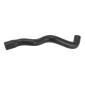 DURITE DE RADIATEUR CYCLO ADAPTABLE PEUGEOT 103 SP, SPX, RCX (CULASSE) -SELECTION P2R- 3701213436613