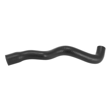 DURITE DE RADIATEUR CYCLO ADAPTABLE PEUGEOT 103 SP, SPX, RCX (CULASSE) -SELECTION P2R- 3701213436613