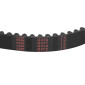 BELT FOR SECONDARY TRANSMISSION ( EXTERNAL) FOR YAMAHA 530 TMAX 2017>, 560 TMAX 2020 -MITSUBOSHI MBRD1002- 3700948280010