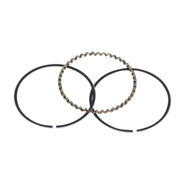 SCRAPER RING STANDARD -1A019531-