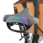 VELO ELECTRIQUE/VAE CARGO 20/26 LEADER FOX E-BIKE FAMILY ONE MIXTE NOIR MAT 9V MOTEUR CENTRAL BAFANG M420 36V 80Nm BATTERIE 20Ah 8592826099990