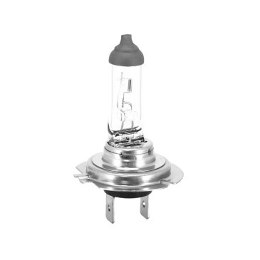 AMPOULE 12V-55W H7 -294353-