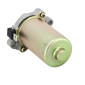 ELECTRIC STARTER FOR SCOOT PIAGGIO 50 ZIP, LIBERTY, LX, ET4, FLY / APRILIA50 RS 2006>, RS4 2012>, SCARABEO / DERBI 50 ATLANTIS (ALL 2 Stroke) -SELECTION P2R- 3700948101636