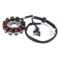 STATOR ALLUMAGE SCOOT ADAPTABLE MBK 50 BOOSTER X 2007>2009, OVETTO 2009>2017, NITRO 2014>2017 4T/YAMAHA 50 GIGGLE 2007>2009, NEO'S 2014>2017, AEROX 2014>2017 4T (12 POLES) (OEM: 3B3-H1410-00) -P2R- 3700948260166