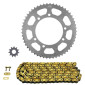KIT CHAINE ADAPTABLE RIEJU 50 MRT PRO 2017>2021 420 11x53 (DIAM COURONNE 105/125/8.5) -AFAM- 3700948276532