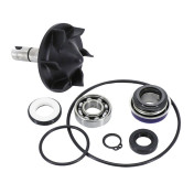 KIT REPARATION POMPE A EAU MAXISCOOTER ADAPTABLE YAMAHA 530 TMAX 2012> (KIT) -BUZZETTI- 3700948283516