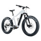 VELO ELECTRIQUE/VAE VTT FAT BIKE 26 LEADER FOX BRAGA BLANC 9V MOTEUR CENTRAL BAFANG M510 36V 95Nm BATTERIE 23,2Ah (20'' - H47cm - TAILLE L - POUR ADULTE DE 178cm à 185cm) 8592826042989