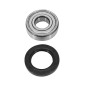 WHEEL BEARING + SEAL FOR PIAGGIO 50 TYPHOON (KIT 6204)