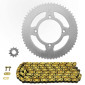 KIT CHAINE ADAPTABLE BETA 50 RR ENDURO 2018>2020, RR ENDURO RACING 2020, RR ENDURO SPORT 2018>2020 420 11x60 (DIAM COURONNE 100/120/8.5/16) (DEMULTIPLICATION ORIGINE) -AFAM- 5400598205712
