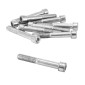 ALLEN SCREW M10 x 70 mm CHROME (10 IN A BAG). -SELECTION P2R-
