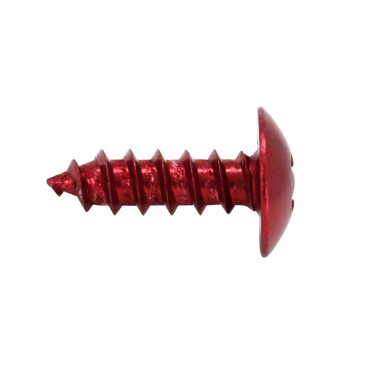VIS PARKER TETE RONDE 5,0 x 12 mm ALU ROUGE (SACHET DE 10 PIECES) -SELECTION P2R- 7421083652031
