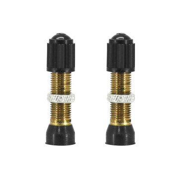 VALVE DE PNEU TUBELESS SCHRADER ARGENT 44mm OBUS DEMONTABLE (VENDU A LA PAIRE SUR CARTE) 7290101180685