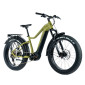 VELO ELECTRIQUE/VAE VTT FAT BIKE 26 LEADER FOX BRASA 2024 VERT KAKI 11V MOTEUR CENTRAL PANASONIC GX ULTIMATE 36V 90Nm BATTERIE 20Ah (20'' - H47cm - TAILLE L - POUR ADULTE DE 178cm à 190cm)