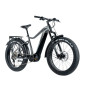 VELO ELECTRIQUE/VAE VTT FAT BIKE 26 LEADER FOX BRASA ARGENT 11V MOTEUR CENTRAL PANASONIC GX ULTIMATE 36V 95Nm BATTERIE 20Ah (20'' - H47cm - TAILLE L - POUR ADULTE DE 178cm à 190cm) 8592826041470