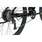 VELO ELECTRIQUE/VAE VTT 29 LEADER FOX ARIMO HOMME NOIR BRILLANT 9V MOTEUR ROUE AR BAFANG 36V 45Nm BATTERIE 20Ah (17,5'' - h45cm - TAILLE M - POUR ADULTE DE 168cm à 178cm) 8592826043146