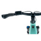 VELO ELECTRIQUE/VAE VTT 29 LEADER FOX ARIMO FEMME VERT CLAIR 9V MOTEUR ROUE AR BAFANG 36V 45Nm BATTERIE 20Ah (16,5'' - H43cm - TAILLE S - POUR ADULTE DE 158cm à 168cm) 8592826043467