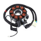 STATOR COMPLET -1A013291-
