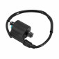 BOBINE ALLUMAGE MAXISCOOTER ADAPTABLE YAMAHA 50 NEO'S 4T, 50 NITRO 4T, 125 XMAX 2005>2017, 125 YBR 2005>2017, 125 YZF-R 2008>2015, 250 XMAX 2007>2015 (12V - 2 COSSES) -P2R- 3700948275641