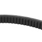 COURROIE CYCLO ADAPTABLE MBK/MOTOBECANE AV92 (755 x 17) (TYPE D18CR) -SELECTION P2R- 3701213433384