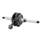 EMBIELLAGE/VILEBREQUIN CYCLO ADAPTABLE PEUGEOT 103 SP-MVL (PETIT CONE) -SELECTION P2R- 3701213418138