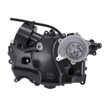 CARTER DE VOLANT COMPLET ORIGINE PIAGGIO 500-530 2021> -1A0195525-