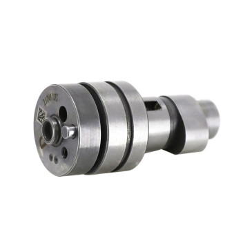 CAMSHAFT WITH I.P. CAT.D -1A0217040D-