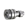 CAMSHAFT WITH I.P. CAT.D -1A0217040D-