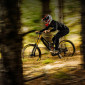 PNEU VTT GRAVITY 27.5 X 2.40 MICHELIN DH22 RACING LINE NOIR STICKERS BLEU/JAUNE TUBELESS READY TS (61-584) 3528705125080