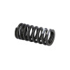 RESSORT SOUPAPE -1A009718-