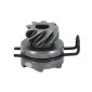 NOIX DE KICK SCOOT ADAPTABLE SYM 50 ORBIT, MIO 4T / PEUGEOT 50 VIVACITY, TWEET, LUDIX 4T (MOTEUR GY6 137QMB) (8 DENTS) -P2R- 3700948239957