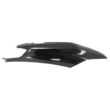 RIGHT COVER -1B009010000XN2-