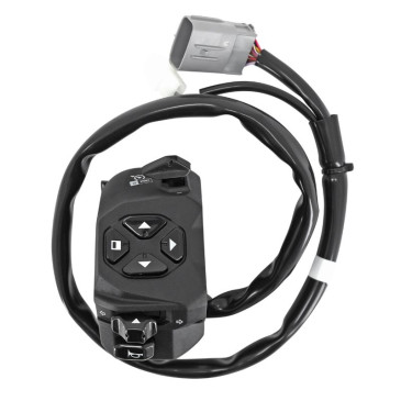 LH HANDLEBAR COMMAND -2D000548-