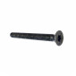 SCREW - FOR BAR ENDS -1B006376-