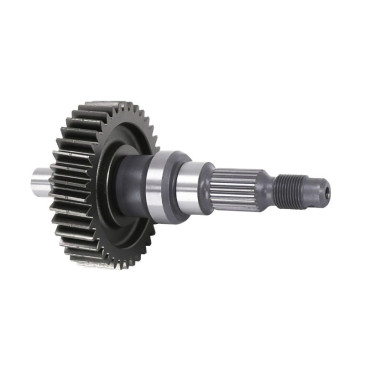 REAR WHEEL AXLE WITH I.P. -1A023101-