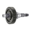 REAR WHEEL AXLE WITH I.P. -1A023101-
