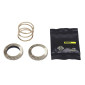 KIT RECHANGE POUR CORPS CASSETTE MAVIC ID360 VTT (CREMAILLERE + RESSORT +GRAISSE) 0889645850047