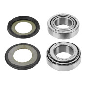 JEU DE DIRECTION 50 A BOITE ADAPTABLE RIEJU 50 MRT 2009>, 125 MARATHON 2009> (QUALITE OEM) (KIT COMPLET) -SELECTION P2R- 3000000016534