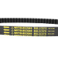 COURROIE MAXISCOOTER ADAPTABLE SUZUKI 200 BURGMAN 2007>2021 (883 x 22,6 x 11,4 x 28°) -MITSUBOSHI MBLSC076- 3700948300077