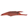RIGHT COVER -1B009010000A16-