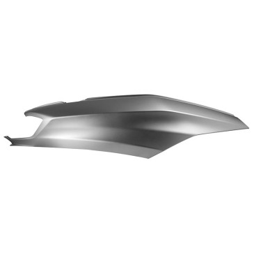 RIGHT COVER -1B009010000G07-