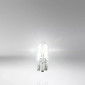 AMPOULE/LAMPE STANDARD 12V 5W CULOT W2,1x9,5d NORME W5W T10 WEDGE BLANC (FEU DE POSITION) (BLISTER DE 2) -OSRAM- 4062172395885