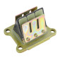 CLAPET 50 A BOITE FIBRE POUR DERBI 50 SENDA, GPR/GILERA 50 SMT, RCR -P2R- 3700948057421