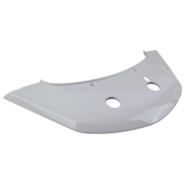 REAR CLOSURE PANEL UPPER -1B009011000BR-