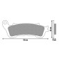 BRAKE PADS NEWFREN FOR SUZUKI 125 BURGMAN 2007>2013 Front 200 BURGMAN 2007>2013 Front HONDA 300 FORZA 2012> Front 125 SH 2009>2012 Front (FD0400BE) (SCOOTER ELITE ORGANIC) 8025832415862