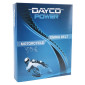 COURROIE DE DISTRIBUTION DAYCO POUR DUCATI 600 MONSTER 1993>1996 (68 dts) (QUALITE ORIGINE) 8021787054132