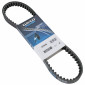 COURROIE SCOOT ADAPTABLE PEUGEOT 50 LOOXOR (826 x 18,5 x 8) -DAYCO- 8021787568523