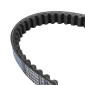 COURROIE SCOOT ADAPTABLE PEUGEOT 50 LOOXOR (826 x 18,5 x 8) -DAYCO- 8021787568523